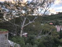 Monchique &ndash; &copy; Sabine C. Seifert (Eberhardt TRAVEL)