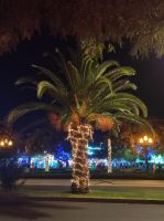 Lichterketten auf dem Nachtmarkt in Funchal