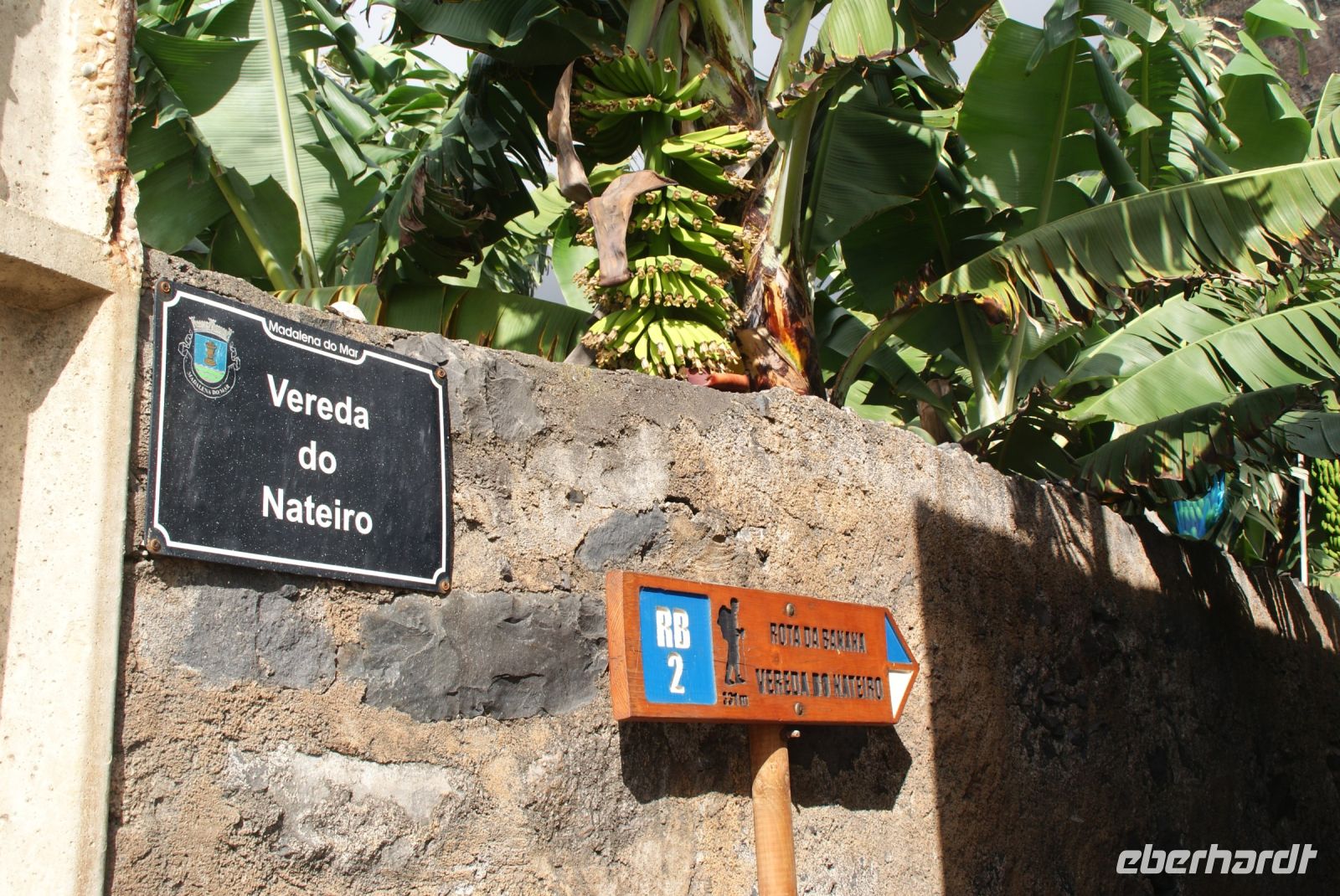 119 Bananenplantage &ndash; &copy; Susanne Schirmann (Eberhardt TRAVEL)