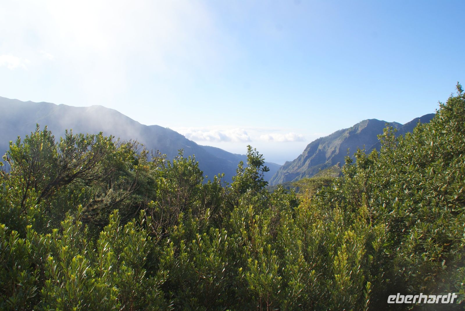 153 Blick auf Südseite der Insel  &ndash; &copy; Susanne Schirmann (Eberhardt TRAVEL)