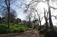 62 Palheiro Garden der Familie Blandy &ndash; &copy; Susanne Schirmann (Eberhardt TRAVEL)