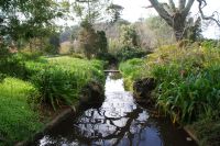 74 Palheiro Gardens &ndash; &copy; Susanne Schirmann (Eberhardt TRAVEL)