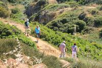 Kleine Wanderung an der Felsenküste bei Lagos - Algarve &ndash; &copy; Kristin Weigel (Eberhardt TRAVEL)