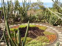 Botanischer Garten von Funchal &ndash; &copy; Hans-Joachim Trutz (Eberhardt TRAVEL)
