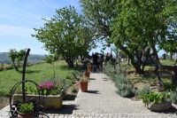 Weingut bei Aijol &ndash; &copy; Gunter Looß (Eberhardt TRAVEL)