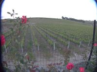 Quinta de Avessada &ndash; &copy; Georg Berger (Eberhardt TRAVEL)
