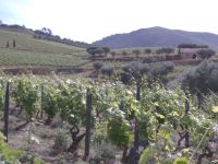  Quinta da Roeda &ndash; &copy; Georg Berger (Eberhardt TRAVEL)