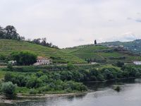 0309 Duero - Blick auf die Weinberge.jpg &ndash; &copy; Jens Petzoldt (Eberhardt TRAVEL)