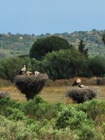 0912 Lagos.jpg &ndash; &copy; Jens Petzoldt (Eberhardt TRAVEL)