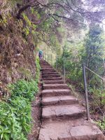 Levada dos 25 Fontes &ndash; &copy; Dieter Braune (Eberhardt TRAVEL)