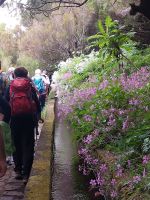 Levada dos 25 Fontes &ndash; &copy; Dieter Braune (Eberhardt TRAVEL)