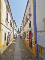 Stadtrundgang durch Obidos &ndash; &copy; Andrej Kulikov (Eberhardt TRAVEL)