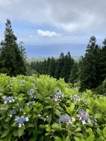 Meerblick &ndash; &copy; Anne Schröder (Eberhardt TRAVEL)