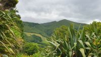 Blick zum Kraterrand des Feuersees &ndash; &copy; Ria Heilmann (Eberhardt TRAVEL)