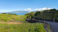 Wanderung durch das Verdelho Weinanbaugebiet auf Pico &ndash; &copy; Ria Heilmann (Eberhardt TRAVEL)
