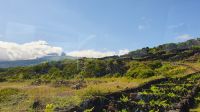 20230808_113956.jpg &ndash; &copy; Ria Heilmann (Eberhardt TRAVEL)