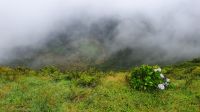erster Blick in die Caldeira &ndash; &copy; Ria Heilmann (Eberhardt TRAVEL)