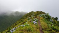 20230809_090941.jpg &ndash; &copy; Ria Heilmann (Eberhardt TRAVEL)