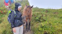 was macht das Pferd am Kraterrand ? &ndash; &copy; Ria Heilmann (Eberhardt TRAVEL)