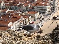 Nazare (8) &ndash; &copy; Thomas Krupp (Eberhardt TRAVEL)