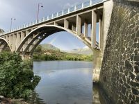 IMG 0834