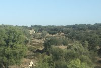 Alentejo-Vegetation &ndash; &copy; Wolfgang Balling (Eberhardt TRAVEL)
