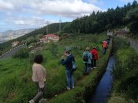 Levada-Monte Wanderung &ndash; &copy; Andrej Kulikov (Eberhardt TRAVEL)