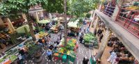 20 Markthalle in Funchal &ndash; &copy; Susanne Schirmann (Eberhardt TRAVEL)