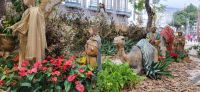 27 Weihnachten in Funchal &ndash; &copy; Susanne Schirmann (Eberhardt TRAVEL)