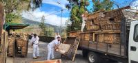 45 Korbschlittenfahrer von Monte &ndash; &copy; Susanne Schirmann (Eberhardt TRAVEL)