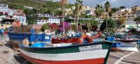 77 Camara de Lobos &ndash; &copy; Susanne Schirmann (Eberhardt TRAVEL)