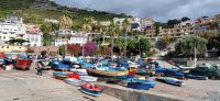 78 Camara de Lobos &ndash; &copy; Susanne Schirmann (Eberhardt TRAVEL)