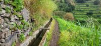 119 Levada &ndash; &copy; Susanne Schirmann (Eberhardt TRAVEL)