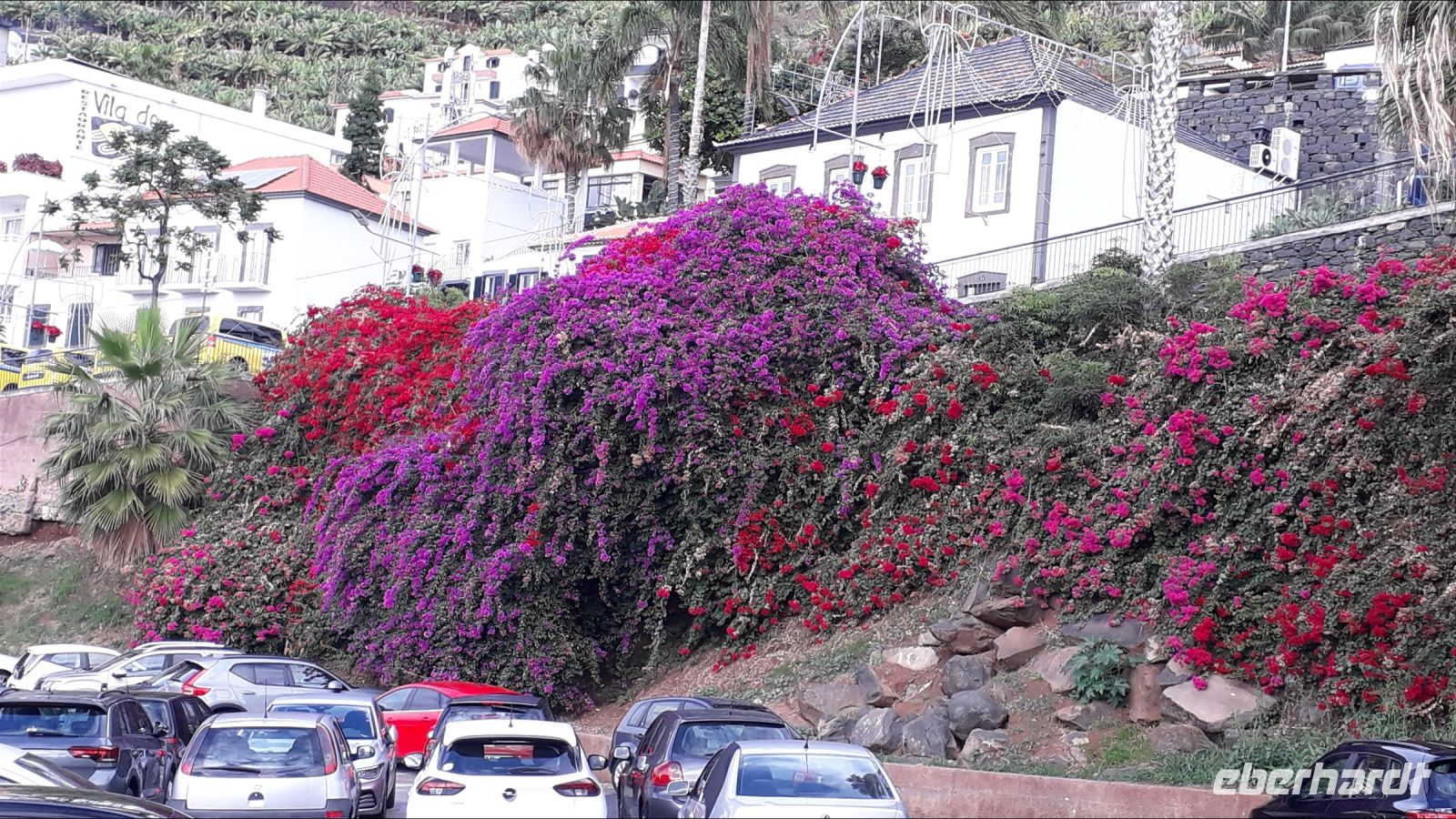 Bougainvillea &ndash; &copy; Julia Kies (Eberhardt TRAVEL)