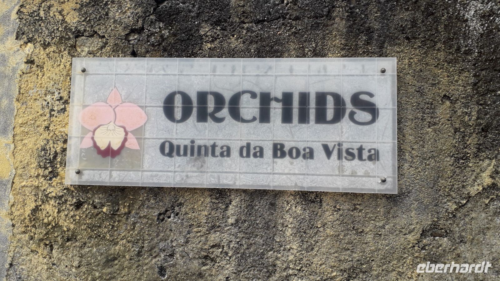 Orchideensammlung &ndash; &copy; Julia Kies (Eberhardt TRAVEL)