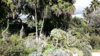 Der Kräutergarten &ndash; &copy; Julia Kies (Eberhardt TRAVEL)