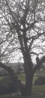 Portweingut