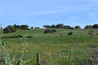 3. Tag - Wanderreise Alentejo - Land und Leute (3) &ndash; &copy; Franziska Barthel (Eberhardt TRAVEL)