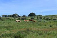 3. Tag - Wanderreise Alentejo - Land und Leute (4) &ndash; &copy; Franziska Barthel (Eberhardt TRAVEL)