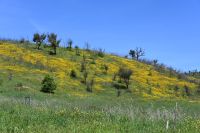 3. Tag - Wanderreise Alentejo - Land und Leute (12) &ndash; &copy; Franziska Barthel (Eberhardt TRAVEL)