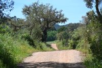 3. Tag - Wanderreise Alentejo - Land und Leute (19) &ndash; &copy; Franziska Barthel (Eberhardt TRAVEL)