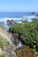 6. Tag - Wanderreise Alentejo - entlang der Küste (3) &ndash; &copy; Franziska Barthel (Eberhardt TRAVEL)