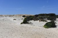 6. Tag - Wanderreise Alentejo - entlang der Küste (13) &ndash; &copy; Franziska Barthel (Eberhardt TRAVEL)