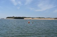 7. Tag - Wanderreise Alentejo - Rio Mira und Milfontes (22) &ndash; &copy; Franziska Barthel (Eberhardt TRAVEL)