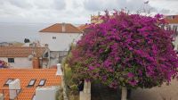 Douro-Kreuzfahrt mit Lissabon // Rundgang in der Alfama &ndash; &copy; Franziska Bergmann (Eberhardt TRAVEL)