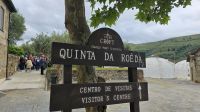 Douro-Kreuzfahrt mit Lissabon // Besuch der Quinta da Roeda &ndash; &copy; Franziska Bergmann (Eberhardt TRAVEL)