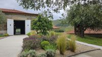 Douro-Kreuzfahrt mit Lissabon // Besuch der Quinta da Roeda &ndash; &copy; Franziska Bergmann (Eberhardt TRAVEL)