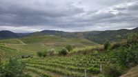 Douro-Kreuzfahrt mit Lissabon // Ausflug nach Castelo Rodrigo