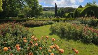 Douro-Kreuzfahrt mit Lissabon // Rundgang in der Gartenanlage des Mateus-Palastes &ndash; &copy; Franziska Bergmann (Eberhardt TRAVEL)