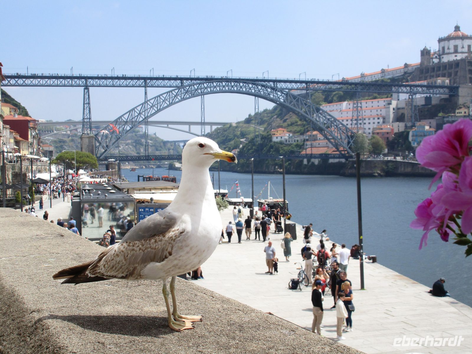Porto, Ribeira &ndash; &copy; Barbara Mihut (Eberhardt TRAVEL)